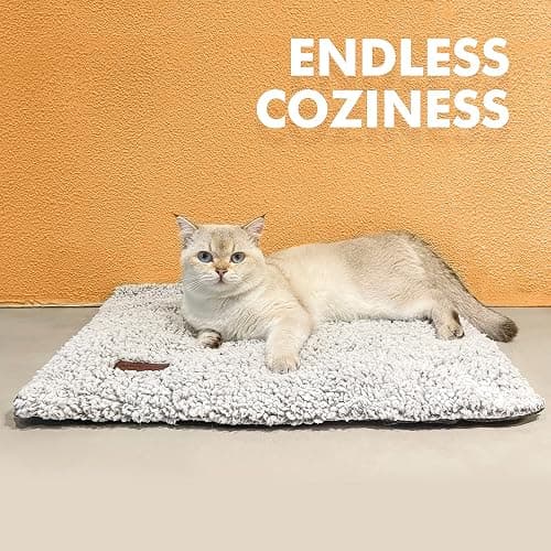 Self Warming Cat Bed Self Heating Cat Dog Mat 24 x 18 inch Extra Warm Thermal Pet Pad for Indoor Outdoor Pets with Removable Cover Non-Slip Bottom Washable Non Electric thumbnail 7