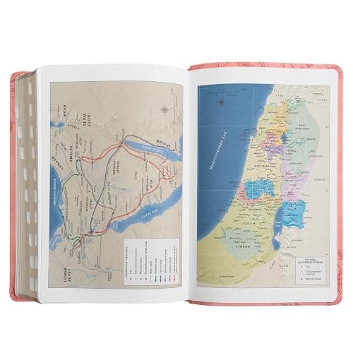 KJV Holy Bible, Giant Print with Cross-References, Soft Pink LeatherTouch with Floral Cover Design, Thumb Index, Ribbon Marker, Red Letter, Full-Color Maps, Easy-to-Read MCM Type, King James Version thumbnail 7