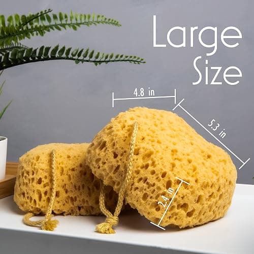 myHomeBody Bath Sponge, Foam Loofah, Body Scrubber for Bathing, Exfoliating Shower Pouf for Shower – Large Size, Lots of Lather, Curvy, 3 Pack thumbnail 3
