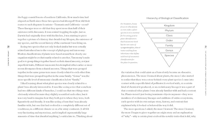 Concrete Botany: The Ecology of Plants in the Age of Human Disturbance thumbnail 6