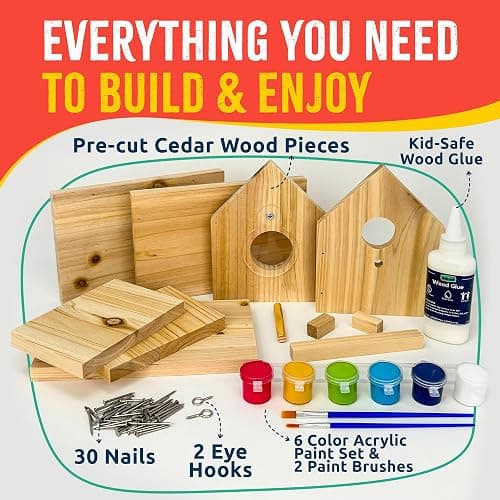 SparkJump Jr Bird House Kit, DIY Cedar Wood Birdhouse for Outdoors with Paint, Fun for Kids & Adults, Bird House Making Kit for All Ages (1-Pack) thumbnail 2