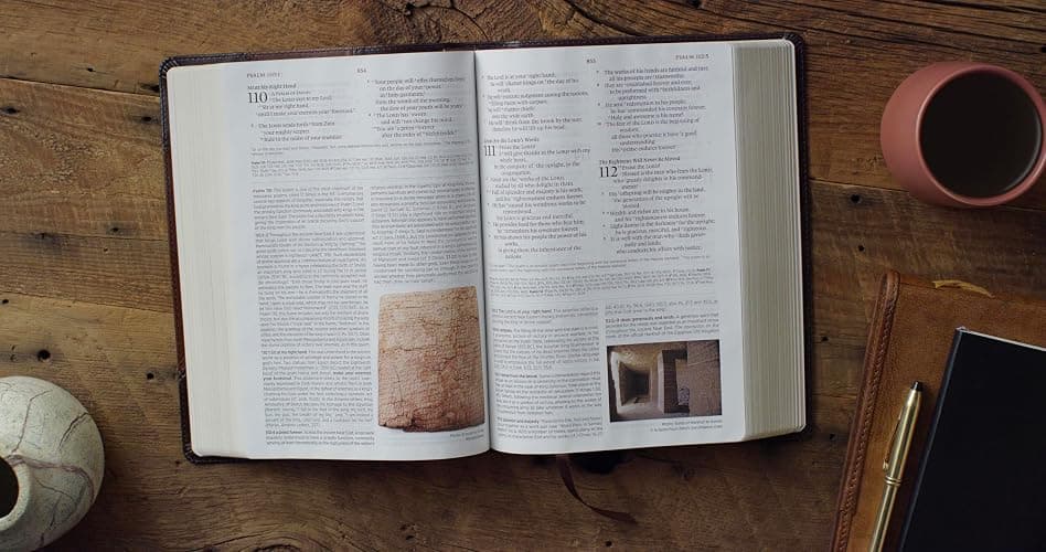 ESV Archaeology Study Bible (TruTone, Brown/Walnut, Portfolio Design): Holy Bible, English Standard Version thumbnail 3