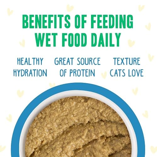 Weruva B.F.F. Play - Best Feline Friend Paté Lovers, Aw Yeah!, Chicken Checkmate with Chicken, 5.5oz Can (Pack of 8) thumbnail 5