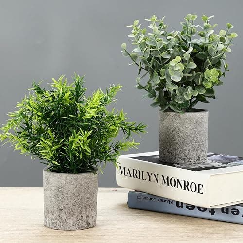 5 Stück Kunstpflanze, Mini Künstliche Pflanzen Schlangenzunge, Agave Sukkulente, Eagle Claw Aloe, Künstliche Pflanzen für Schlafzimmer Büro Dekoration thumbnail 6