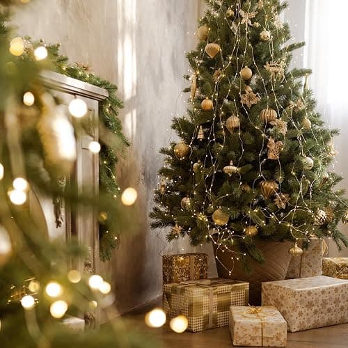 66Ft 200 LED Fairy Lights Plug in, Waterproof String Lights Outdoor 8 Modes Christmas Lights Bedroom Decor, Twinkle Lights for Girl's Room Garden Halloween Christmas Decorations (Warm White) - Warm White - 1 Pack(200LED) thumbnail 3