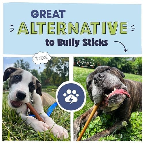 Pawstruck All Natural 11-12" Roasted Collagen Sticks for Dogs – Low Odor & Long-Lasting Bully Stick & Rawhide Alternative, Single Ingredient, Vet Approved – 5 Pack thumbnail 3