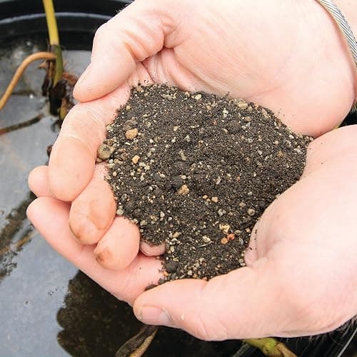 Aquascape Pond Plant Potting Media, Nutrient-Rich Aquatic Soil for Water Gardens, Supports Strong Root Growth, 215 Cubic Inches, 89002 thumbnail 2
