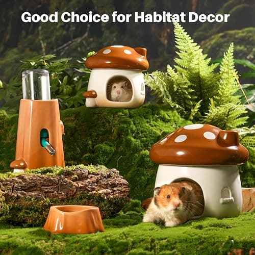 BUCATSTATE Hamster Hideout Ceramic, Mushroom Shape Hamster House and Habitats Ideal for Dwarf Hamsters, Gerbils, Mice, Syrian Hamsters, Chipmunk or Other Small Pets (Brown-Large) thumbnail 7