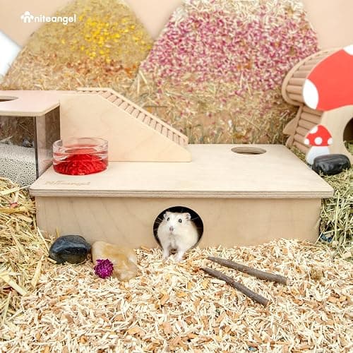 Niteangel Multi-Chamber Hamster House Maze - Multi-Room Hideouts & Tunnel Exploring Toys for Hamster Gerbils Mice Lemmings (6-Room Small) thumbnail 5