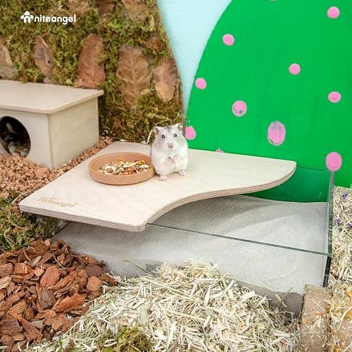 Niteangel Small Animal Sand-Bath Box - Acrylic Critter's Sand Bath Shower Room & Digging Sand Container for Hamsters Mice Lemming Gerbils or Other Small Pets (Birch-Wood, Rectangle) thumbnail 2