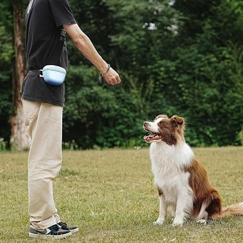 AOKLANT Pet Training Snack Pouch with Clicker 2.0 Upgraded Magnetic Closure, 1.66 Cup Silicone Belt Pouch for Dog Treats，Perfect for Training and Walking thumbnail 6