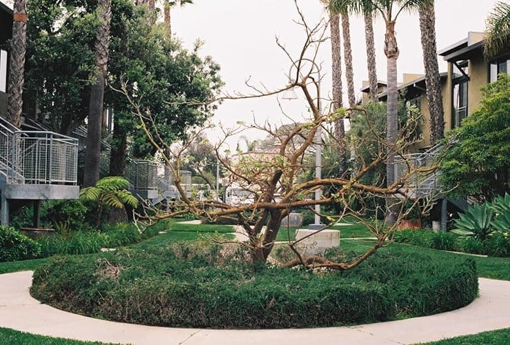 Color Film thumbnail 6