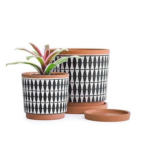 D'vine Dev Terracotta Planter Pots Set