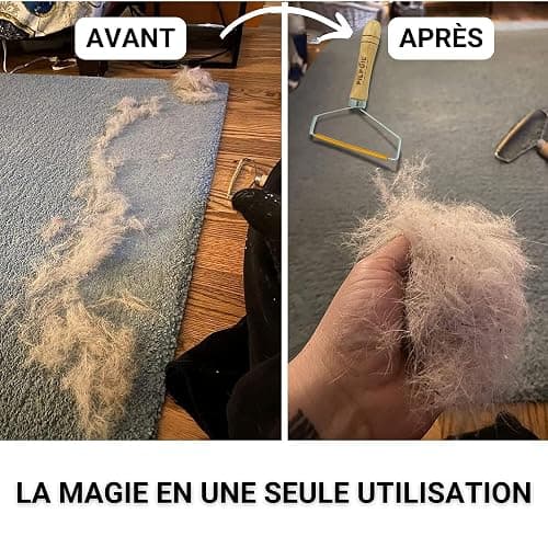 Pilpoil Pack Pro – Brosse Anti-Mue pour Chat et Lapin Poil Court en Bois + Raclette Anti-Poils Animaux – Accessoire de Toilettage – Taille S thumbnail 6