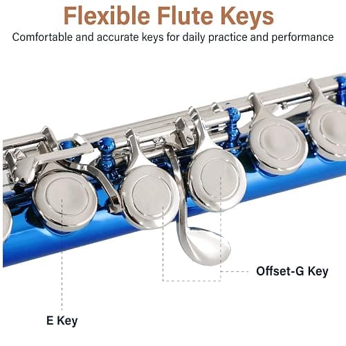 Mendini By Cecilio Flute, 16 Keys Closed Hole C Flute Instrument For Beginners with Carrying Case, Cork Grease, Stand, Lesson Book, Cleaning Kit, Gloves (Blue) thumbnail 5