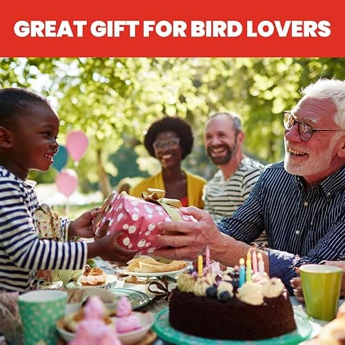 More Birds Red Jewel Hummingbird Feeder, Glass Bottle, 5 Feeding Ports and 20-Ounce Nectar Capacity (76IN) thumbnail 9