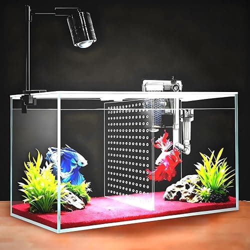 iPriro Fish Tank, 3 Gallon Ultra-Clear Glass Fish Aquarium, with Separator Plate for Betta, Fish Tank Starter kit with Filter and Adjustable Led Light, White - Image 1