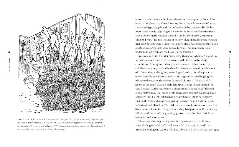 Concrete Botany: The Ecology of Plants in the Age of Human Disturbance thumbnail 7