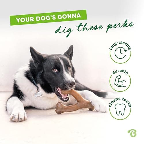 (3 Pack) Benebone wishbones dog chew toy thumbnail 3