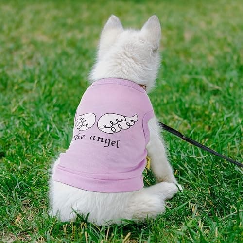 Reginary 8 Pcs Dog Shirts Girl Small Dog Clothes, Vivid Pattern, X-Small | Female Puppy Shirts for Chihuahuas Yorkies, Cute Printed Pet Outfit. Soft Breathable Fabric, Doggie Cat Lovers Gift thumbnail 4
