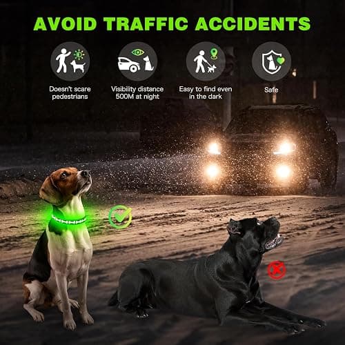 Flashseen Light Up Dog Collars, Adjustable LED Dog Collar Rechargeable, Glow in The Dark Dog Collars Super Bright Glow Collars for Night Walking for Dogs (Green, Large) thumbnail 2