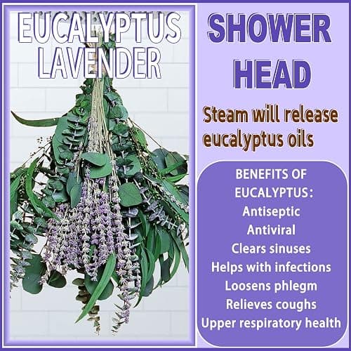 52 PCS Mix Dried Eucalyptus & Lavender Flowers Bundles for Shower, 17'' Natural Real Hanging Silver Dollar Eucalyptus Leaves Stems, Fragrance Fresh Plants Home Bathroom Decor (52pcs) thumbnail 6