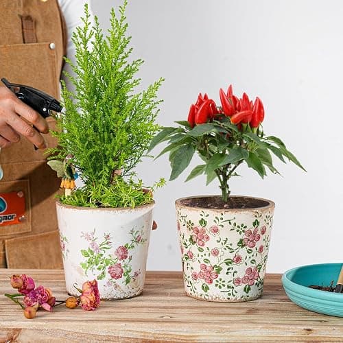 Sungmor Vintage Ceramic Planter Set of 2 - Decorative Indoor & Outdoor Flower Pots with Drainage Holes - Tuscan Décor Pots, 5.5" Ice Crackle Glaze Planters for Home, Kitchen, Patio, and Garden thumbnail 4