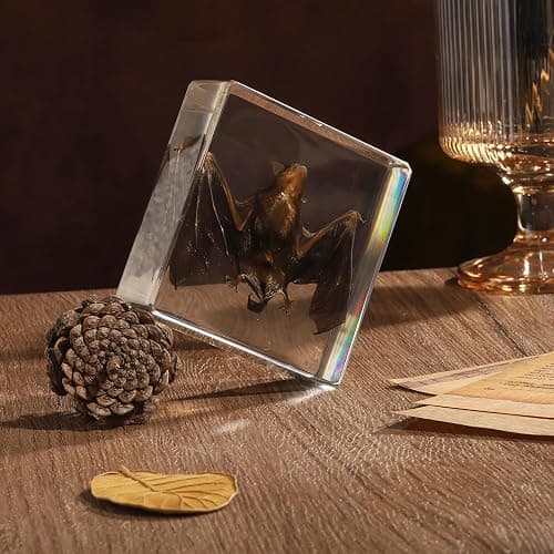Taxidermy Bat, Real Bat Specimens Animal Specimen in Resin for Science Classroom Science Education, Great Gift for Fans of Taxidermy, Animal Skull, Oddities, Biology(3 x 3 x 1 inch) thumbnail 2