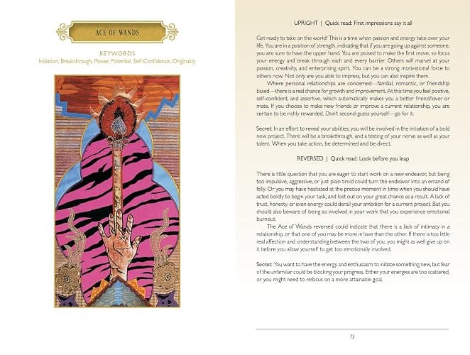 The Zerner/Farber Tarot: (Tarot Kit Box Set with 78 Cards and Guide Book) thumbnail 6