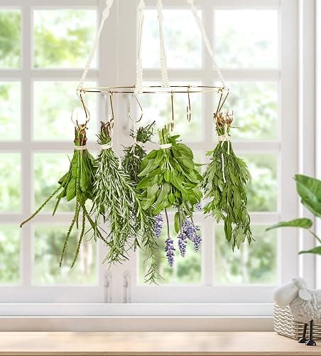 2pack Herb Drying Rack With 20pcs Golden Herb Dryer Hooks, Golden Color thumbnail 2