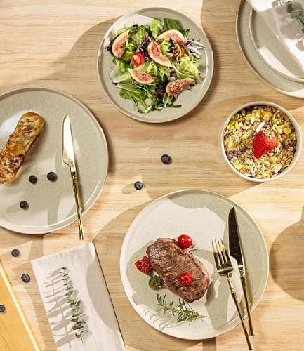 TheTerra Ceramic Dinnerware Sets for 4, 12 Pieces Porcelain Lightweight Speckled Plates and Bowls Sets, Scratch Resistant Dish Set, Oven & Microwave & Dishwasher Safe thumbnail 4