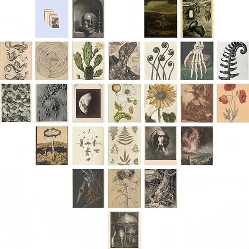 Leifyson 70PCS Vintage Wall Collage Kit - Create Aesthetic Magic with Nature-Inspired Posters and Room Decor 4x6 Inch thumbnail 2