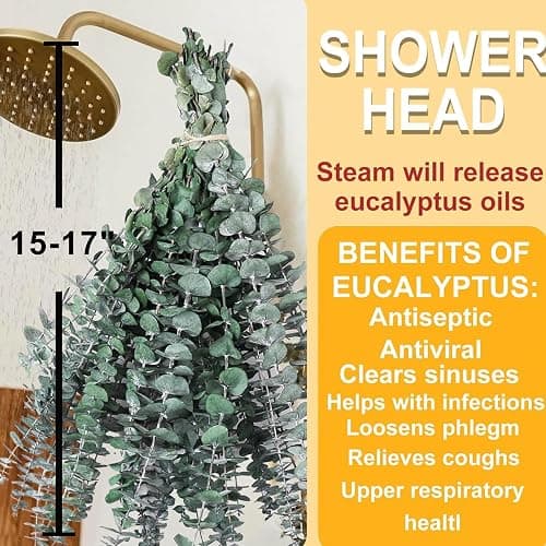 12 PCS Dried Eucalyptus Stems for Shower - 17" Preserved Eucalyptus Stems Shower Plant, Fresh Real Eucalyptus Leaves for Shower Hanging, Home Decor, Dried Flowers thumbnail 4