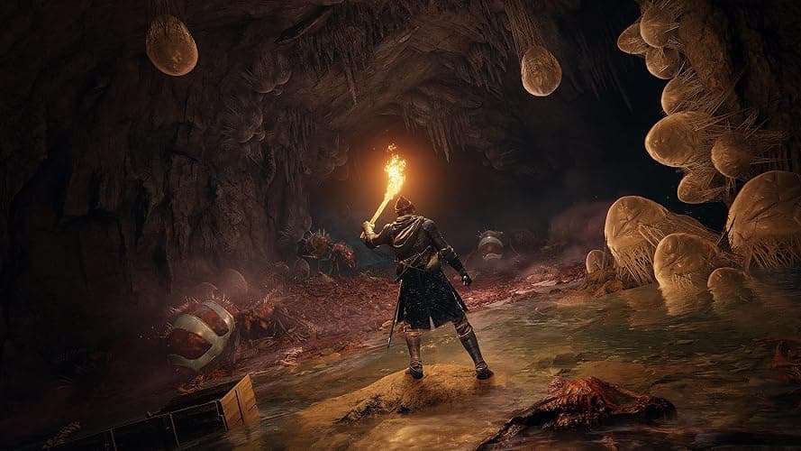 Elden Ring (PS5) thumbnail 6