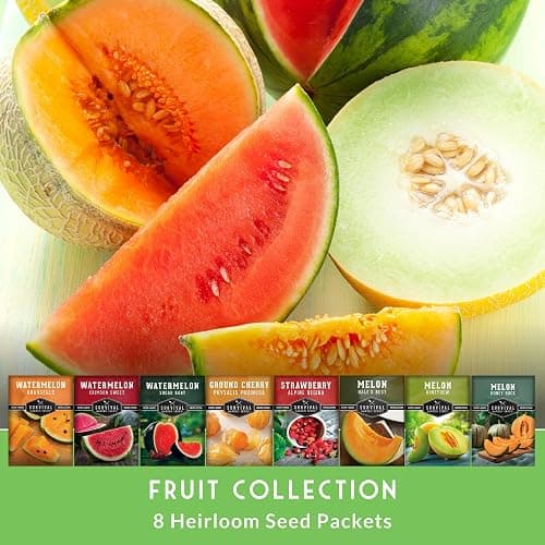 Fruit Seeds for Planting 8 Variety Pack - Non-GMO Heirloom Fruits | Watermelon, Cantaloupe, Melon, Strawberry, Ground Cherry for Home Vegetable Gardens - Survival Garden Seeds thumbnail 3