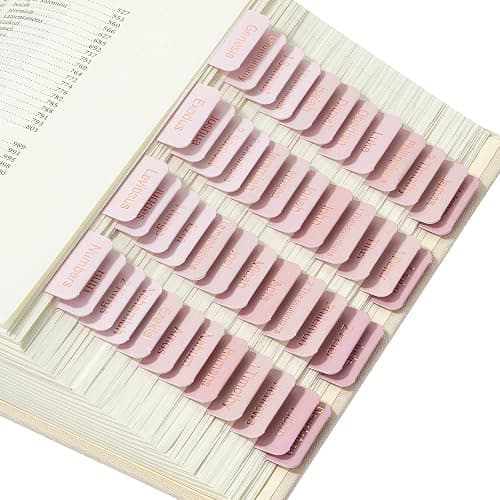 Mr. Pen- Bible Tabs, 75 Tabs, Boho Theme, Laminated Bible Tabs for Women and Men, Bible Tabs for Study Bible, Bible Index Tabs, Bible Book Tabs, Bible Labels Tabs, Mr Pen Bible Tabs - Image 1