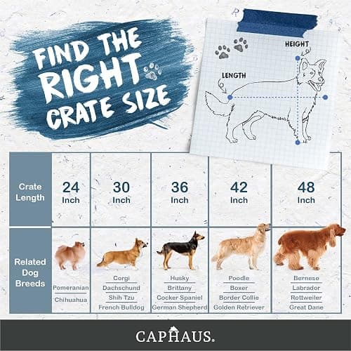 CAPHAUS Foldable Dog Crate Wire Metal Dog Kennel w/Leak-Proof Pan & Protecting Feet & Divider Panel, Single or Double Door, Small, Medium & Large Indoor Wire Cage, 24” w/Single Door thumbnail 7