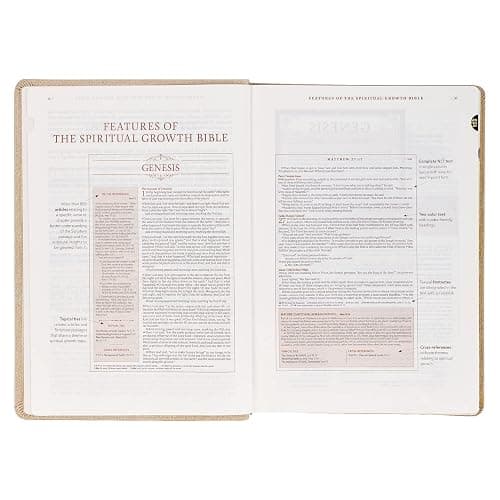 The Spiritual Growth Bible, Study Bible, NLT - New Living Translation Holy Bible, Faux Leather, Pearlescent Taupe (NLT Spiritual Growth Editions) thumbnail 10