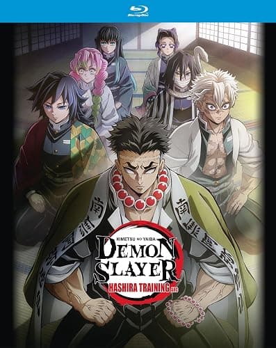 Demon Slayer: Kimetsu no Yaiba: Hashira Training Arc thumbnail 2