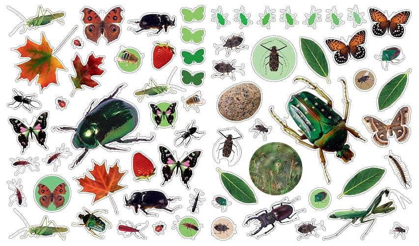 Eyelike Stickers: Bugs thumbnail 4
