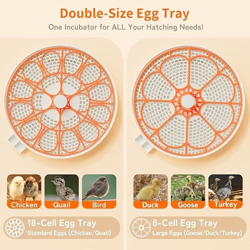18 Egg Incubator, Automatic and Adjustable Egg Turning, Egg Candler, Temperature and Humidity Control, Hatch Day, 2 Size Egg Tray, Automatic Water Refill, Hatching Chicken Quail Duck Turkey Goose Bird thumbnail 4