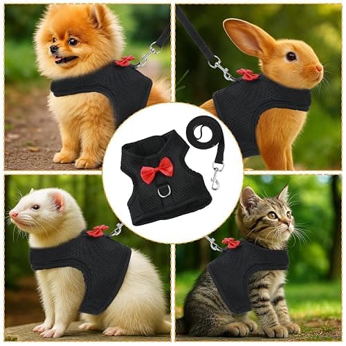 Bunny Harness and Leash Set, Soft Breathable Mesh Rabbit Leash Vest with Safety Buckles, Lightweight Escape-Proof Walking Gear for Rabbits, Kittens, Ferrets, Guinea Pigs, Black M thumbnail 7