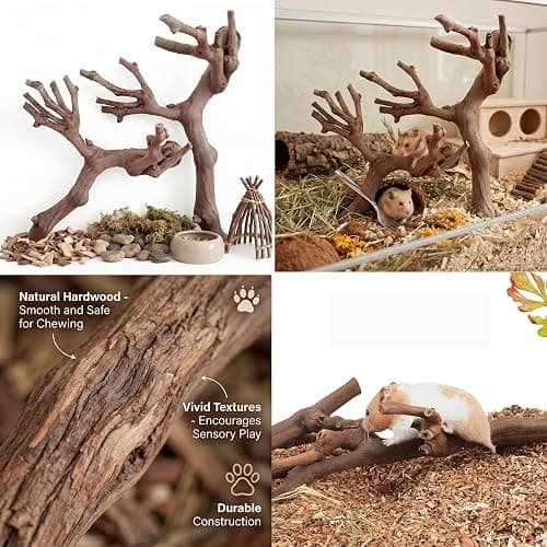 NASSMOSSE 2 Pcs Hamster Toys, Natural Grapevine Climbing Branches Hamster Enrichment Toys, Small Animal Cage Decor & Rat Exploration thumbnail 5
