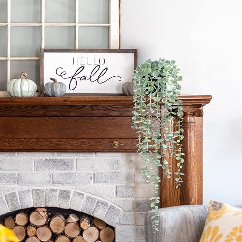 HOFMEFY Fake Hanging Plant Eucalyptus Artificial Faux Plants Indoor Small Wall Greenery Decor for Shelf with Black Pot Soft Green 1PCS 23Inch Long thumbnail 4