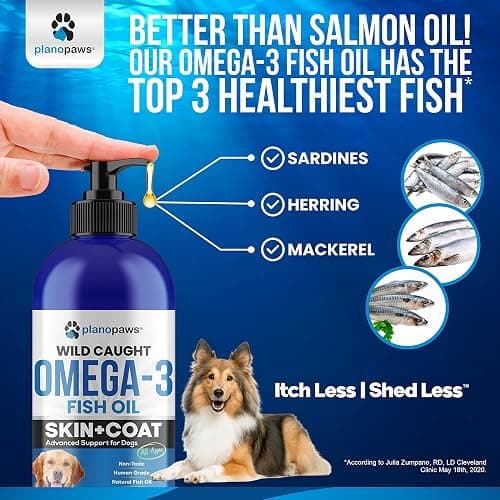 Omega 3 Fish Oil for Dogs - Better Than Salmon Oil - Dog Fish Oil Supplement to Reduce Shedding & Itching - Supports Joints, Brain, and Heart Health - Skin and Coat Supplement - Liquid Fish Oil thumbnail 4