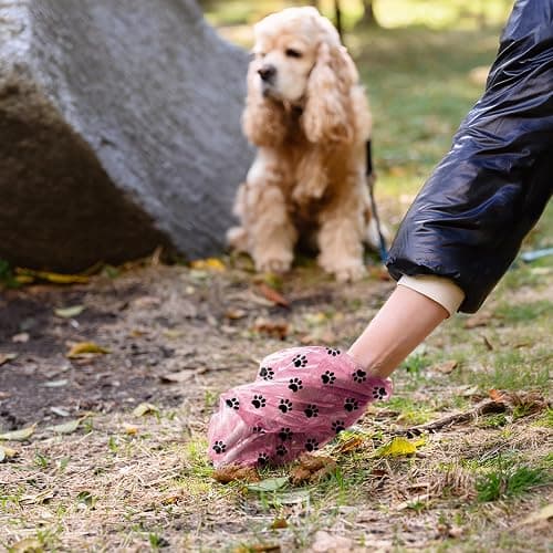 Dyforce 600 Count Dog Poop Bags Rolls with Dispenser Pink | Scented Leak Proof Pet Waste Poop Bags for Dogs 13x9", Extra Thick and Large Doggy Cat Litter Bags for Poops with Holder thumbnail 2