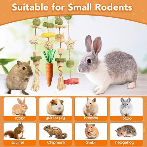 Jorewood Rabbit Chew Toys Bunny Cage Hanging Toy and Treats Rattan Ring with Snacks for Rodent Pets Teeth Healthy thumbnail 7