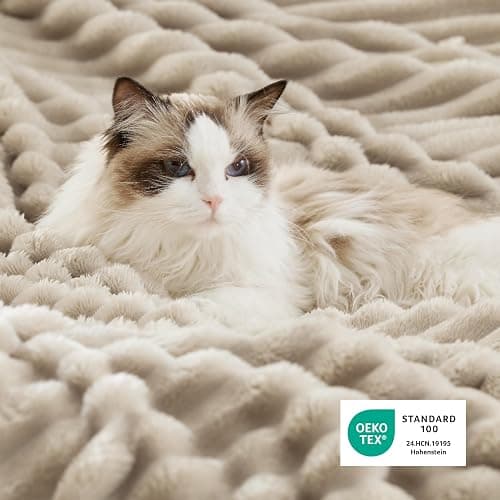 Bedsure Sherpa Throw Blanket for Couch - Super Soft, Comfort Cozy Fleece Thick Warm Blanket for Women, GentleSoft Plush & Fluffy Spring Throw Gift for Women, Room Decor, Beige, 50x60 Inches thumbnail 5