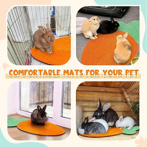 Maasechs Rabbit Scratching Pad, Natural Sisal Cat Bunny Scratcher Mats Cute Scratch Rug, Claws and Teeth Care for Biting Sleeping Nesting Small Animal Bedding Chew Toys Bed Play Toy(Carrots) thumbnail 4