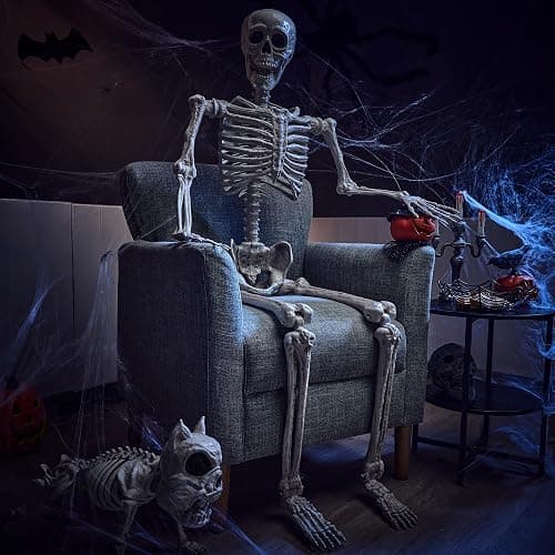 JOYIN 5.6 FT Halloween Posable Life Size Skeleton Full Body Realistic Bones with Movable Joints for Halloween Indoor and Outdoor Decoration Props Spooky Scene Party Decorations (White) thumbnail 9
